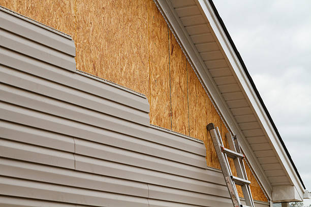 Professional Siding Repair technician working in Culpeper, VA